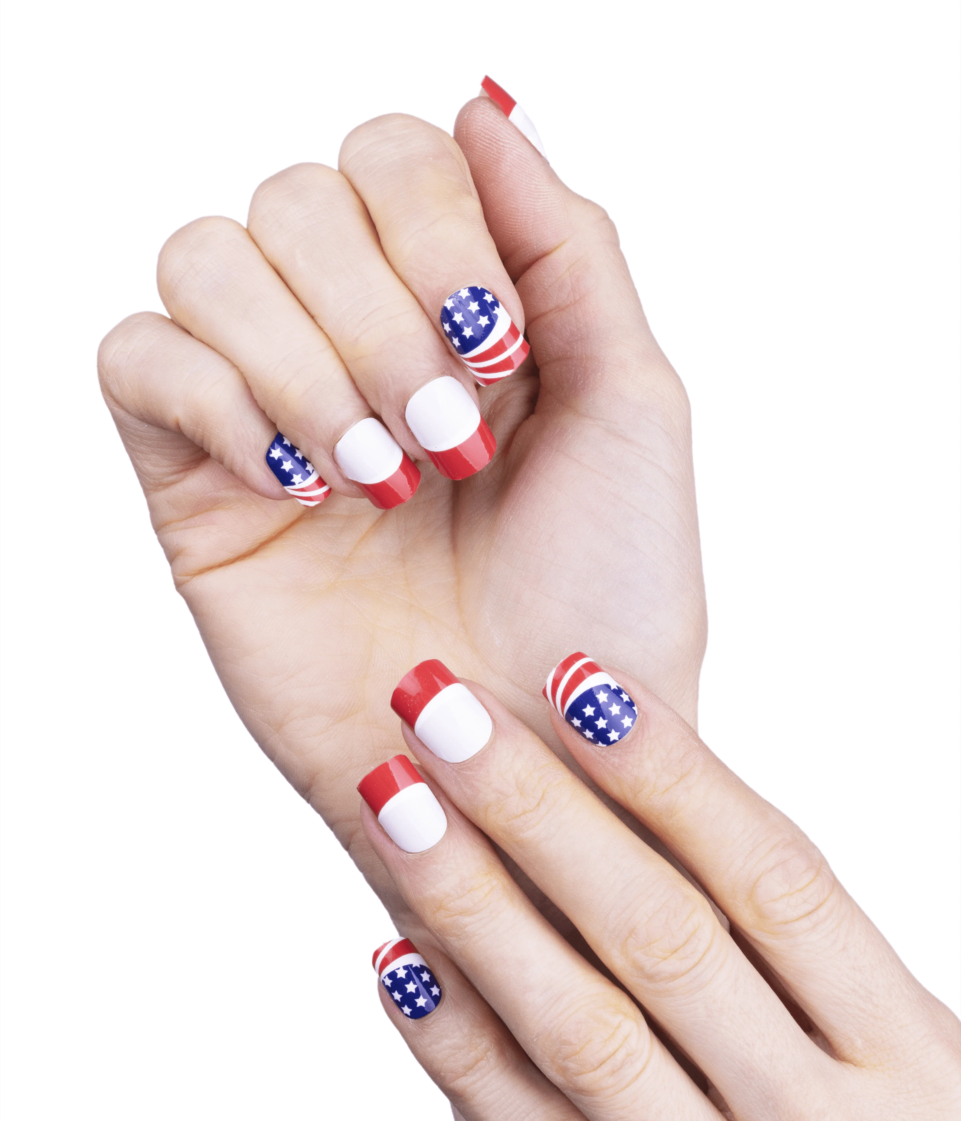American Beauty - Image 4