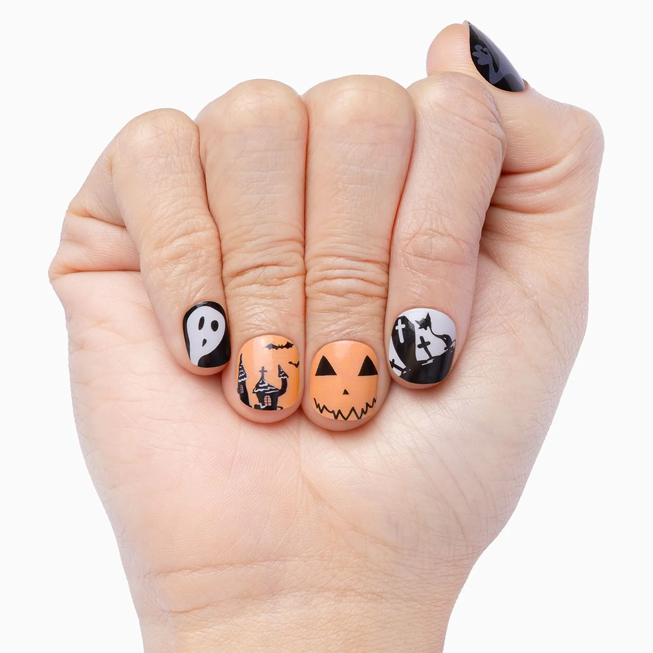 Scaredy Cat - Image 3