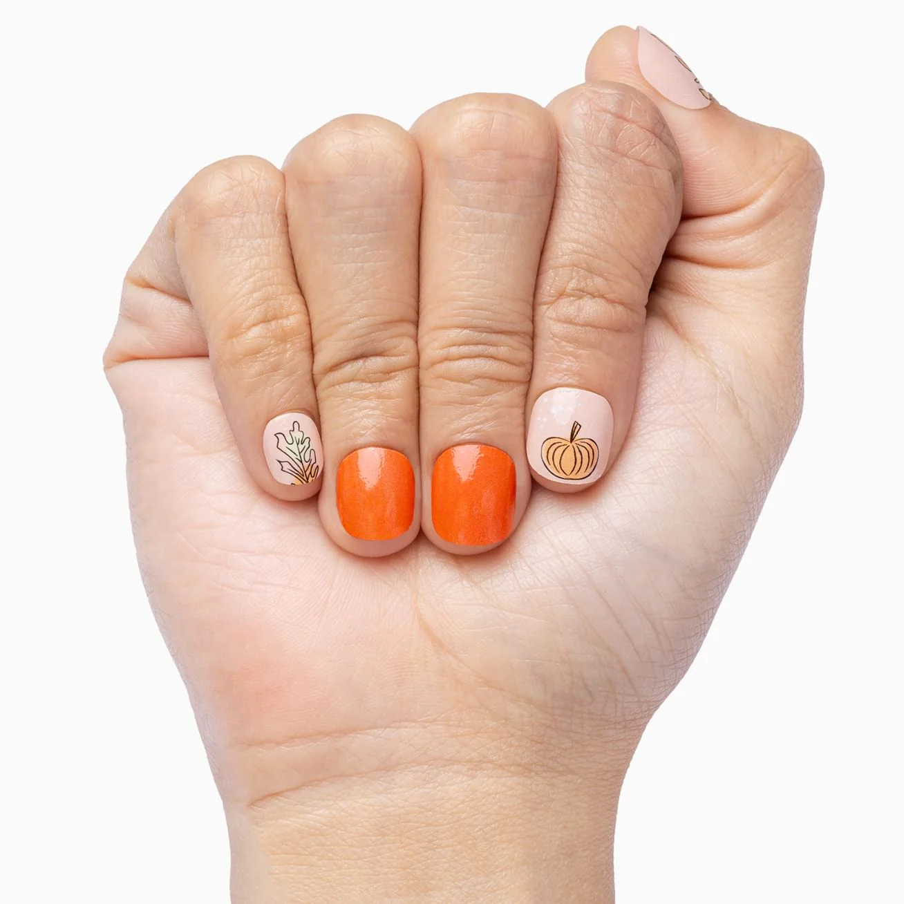 Harvest Hues - Image 3