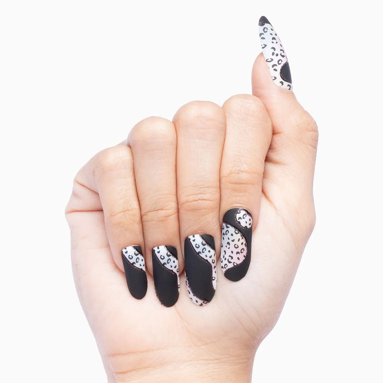 Leopard Luxe - Image 3