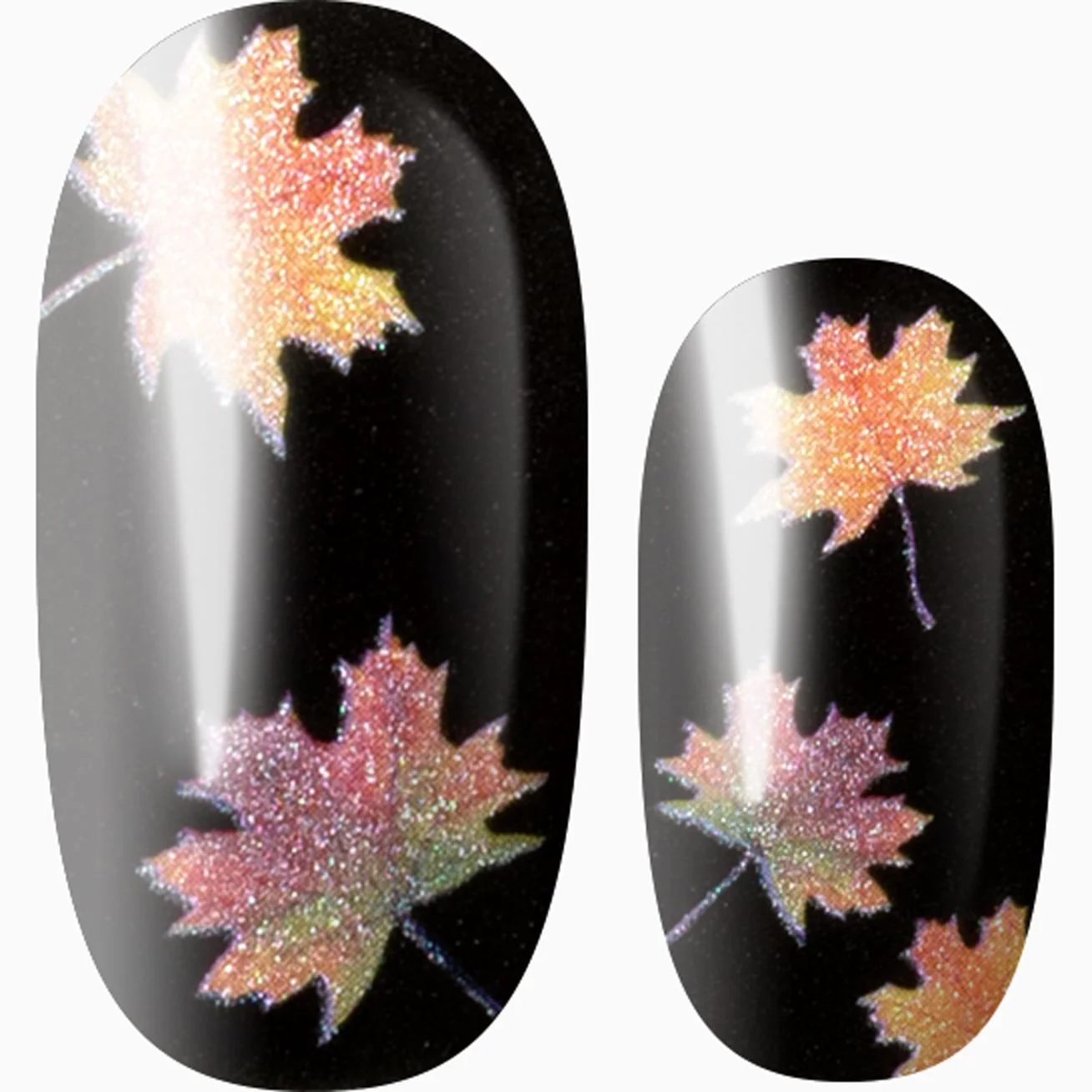 Midnight Maple