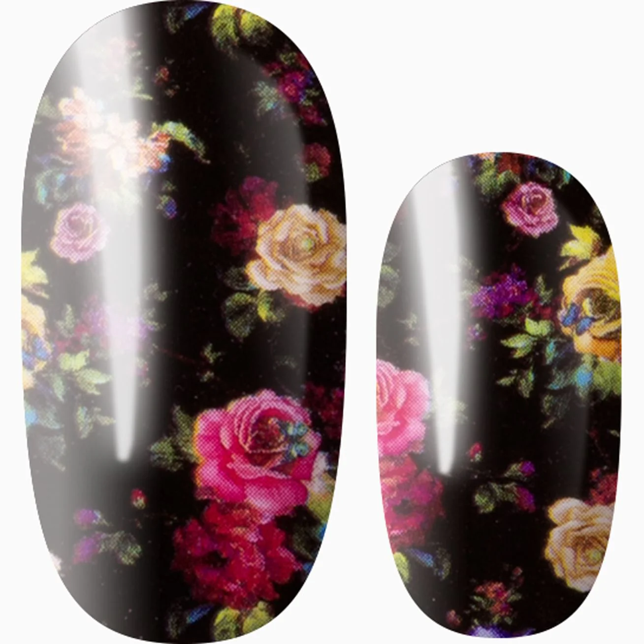 Night Garden