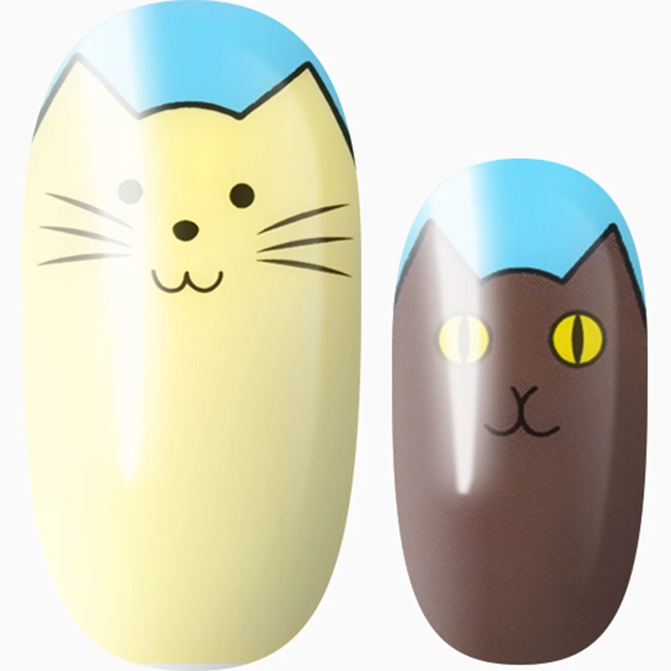 Pawsitively Vibrant
