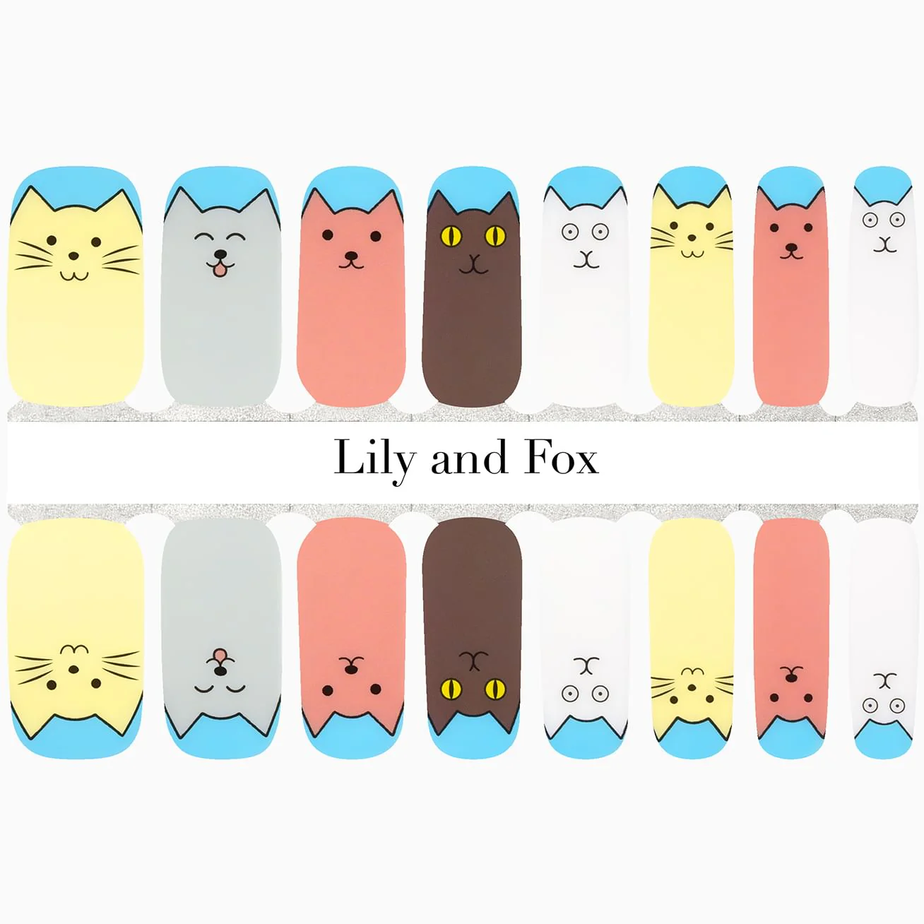 Pawsitively Vibrant - Image 2