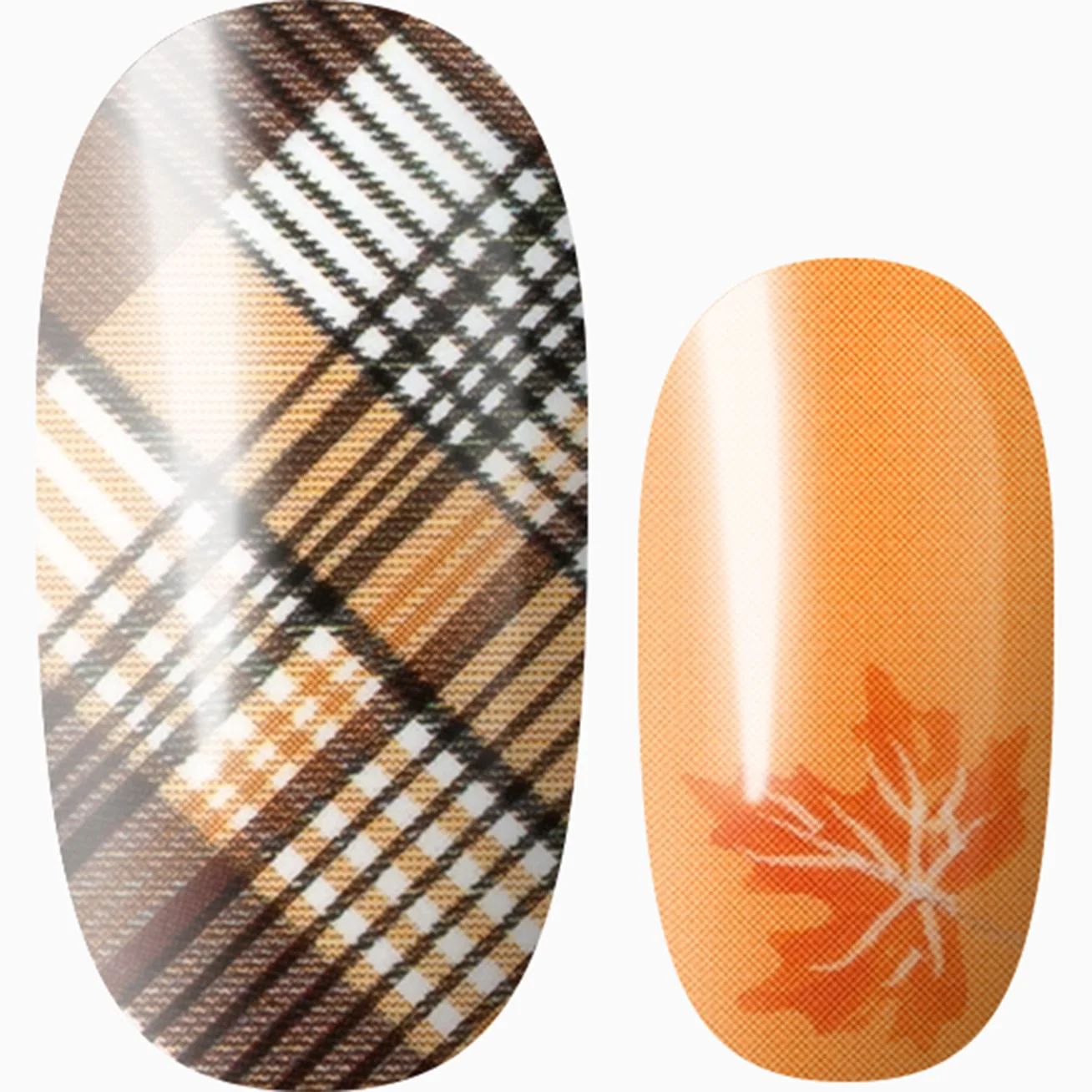 Pumpkin Patch Plaid