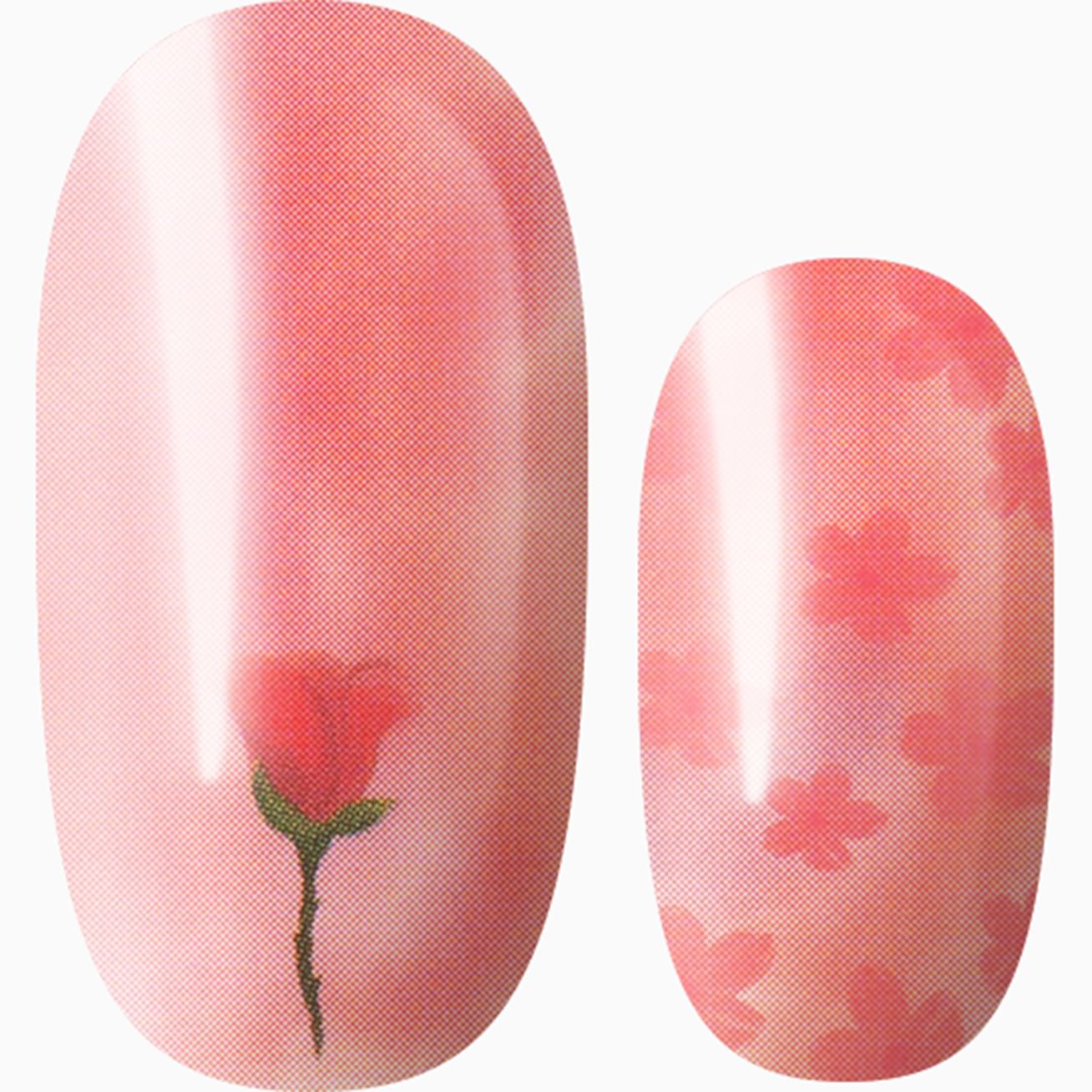 Rose Bud Wishes