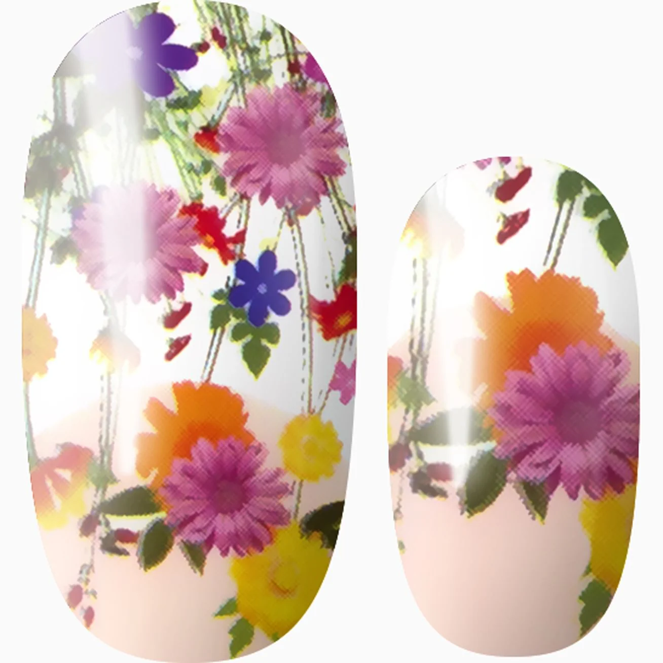 Spring Meadow
