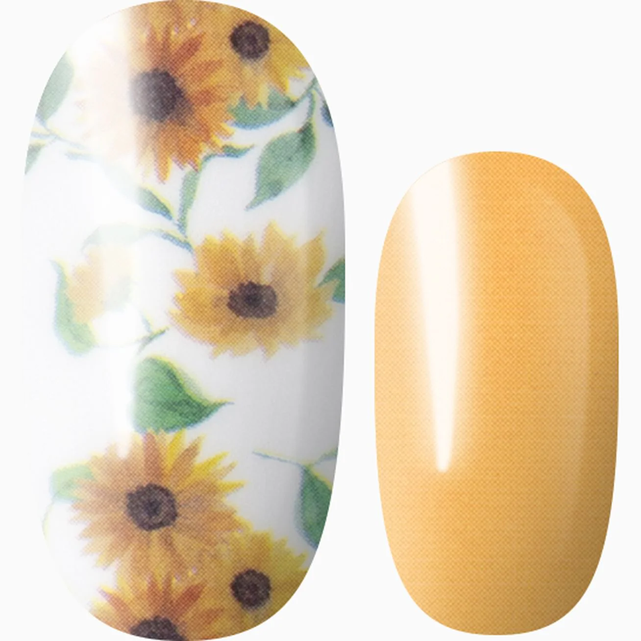 Sunflower Power