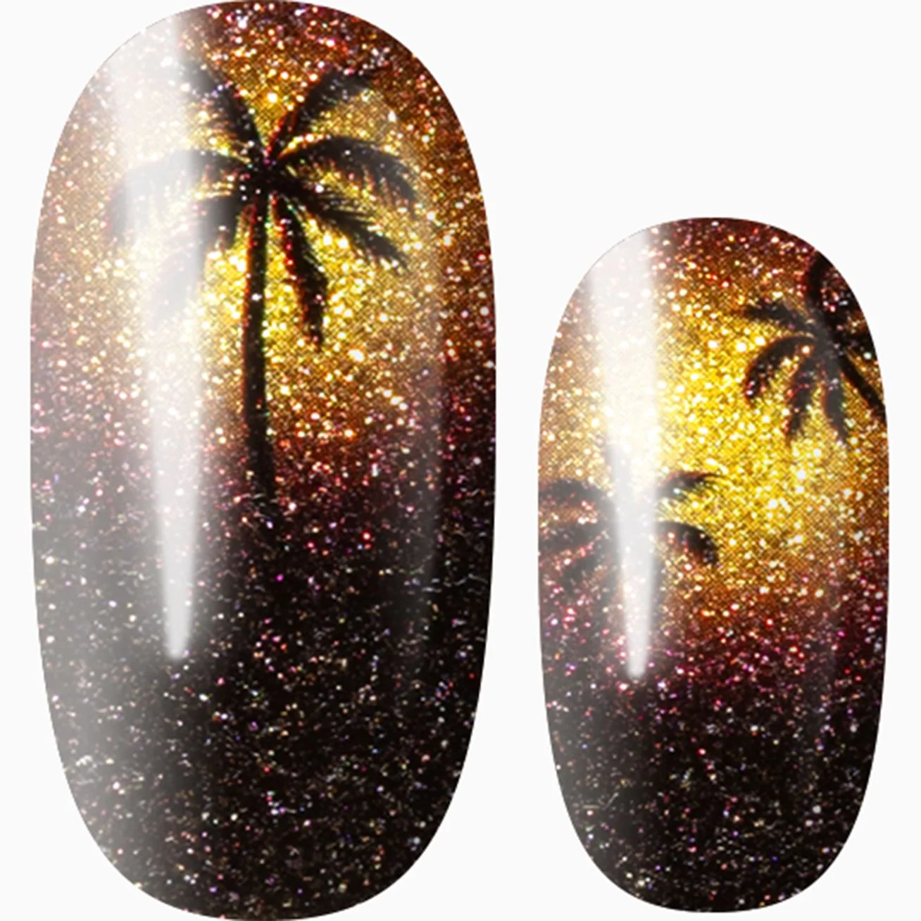 Sunset Palms