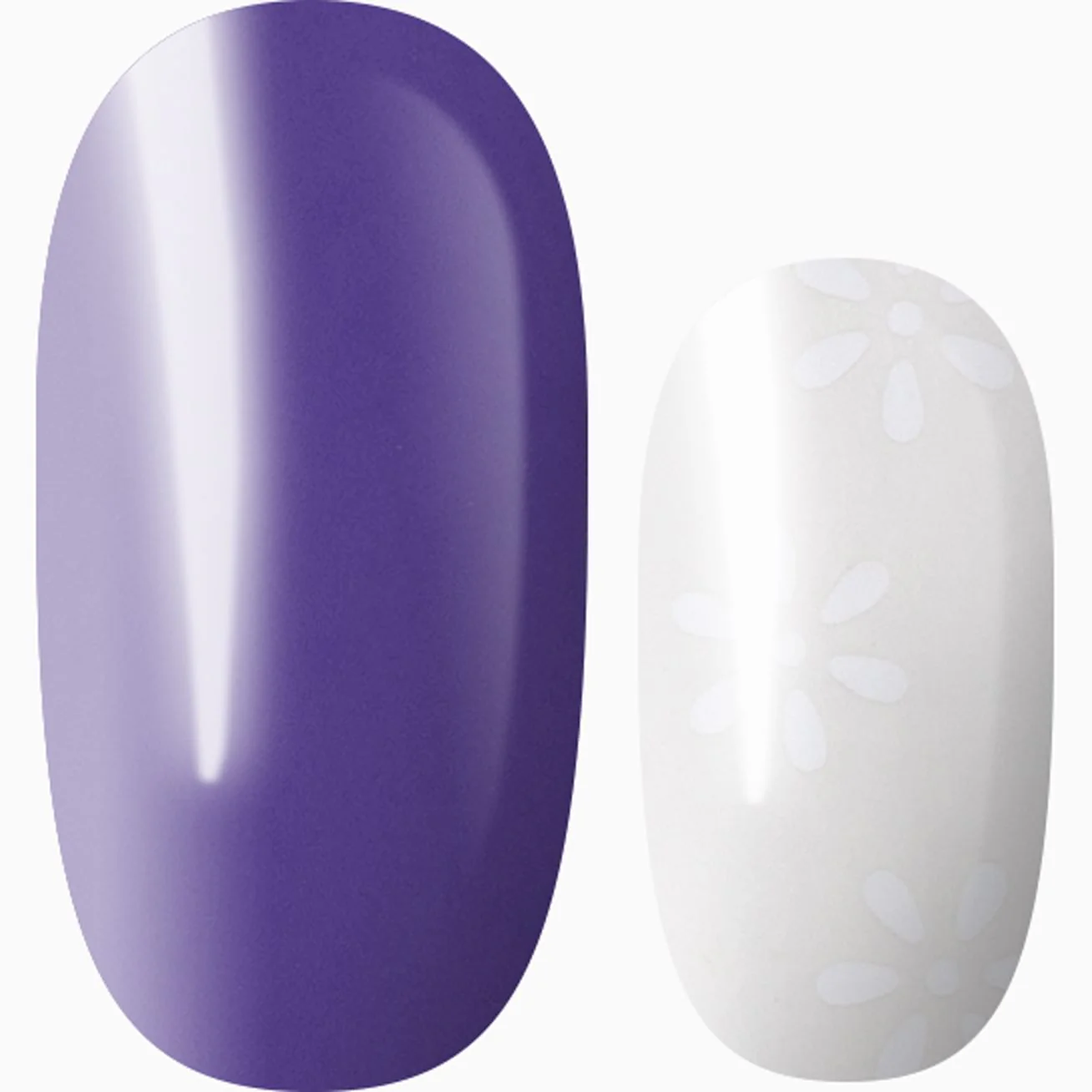 Sweet Aroma (transparent)