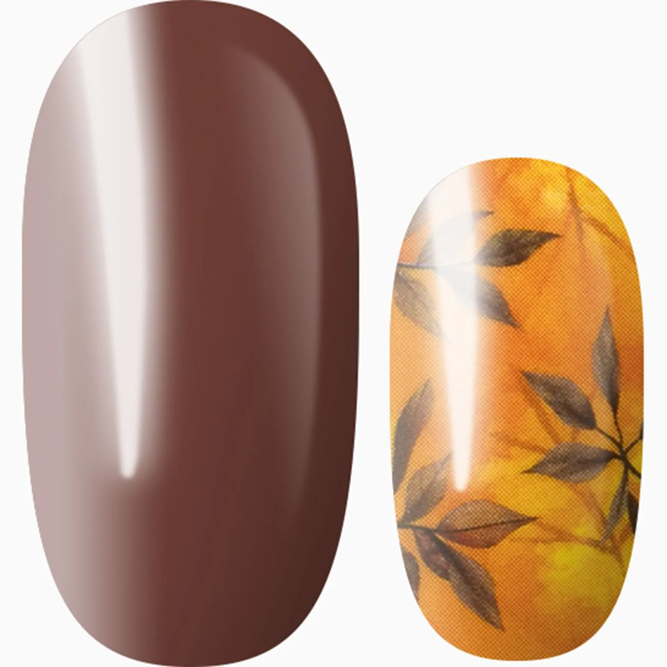 Autumn Avenue