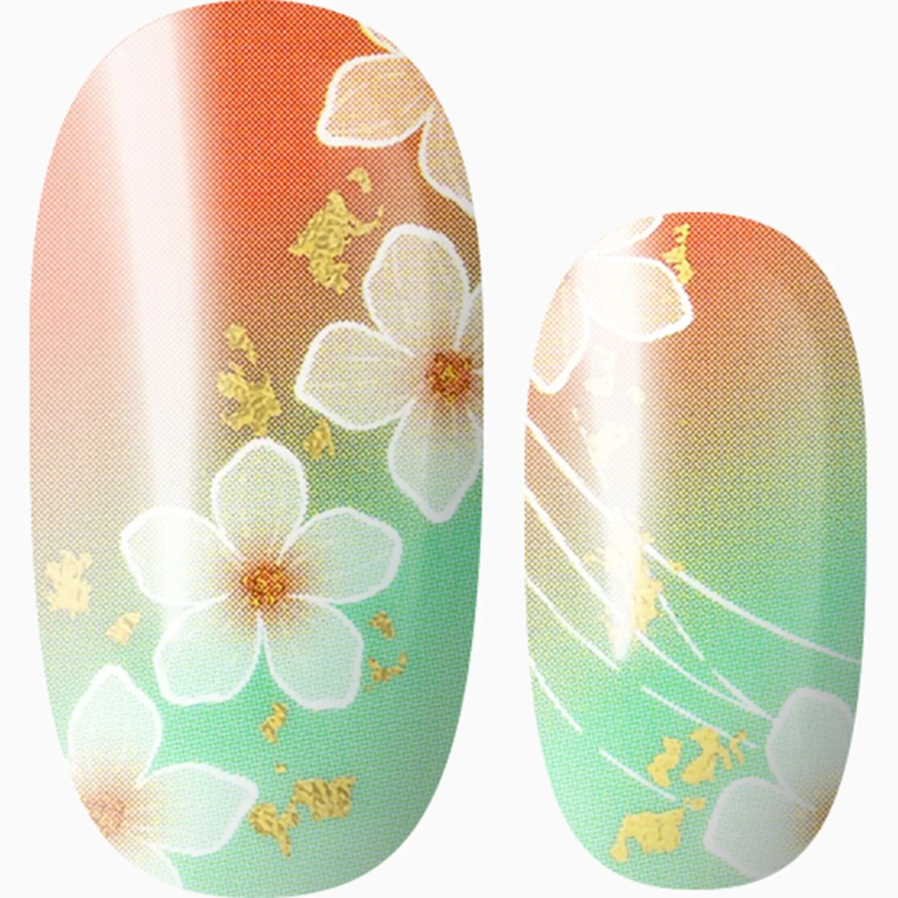 Whimsy Blooms