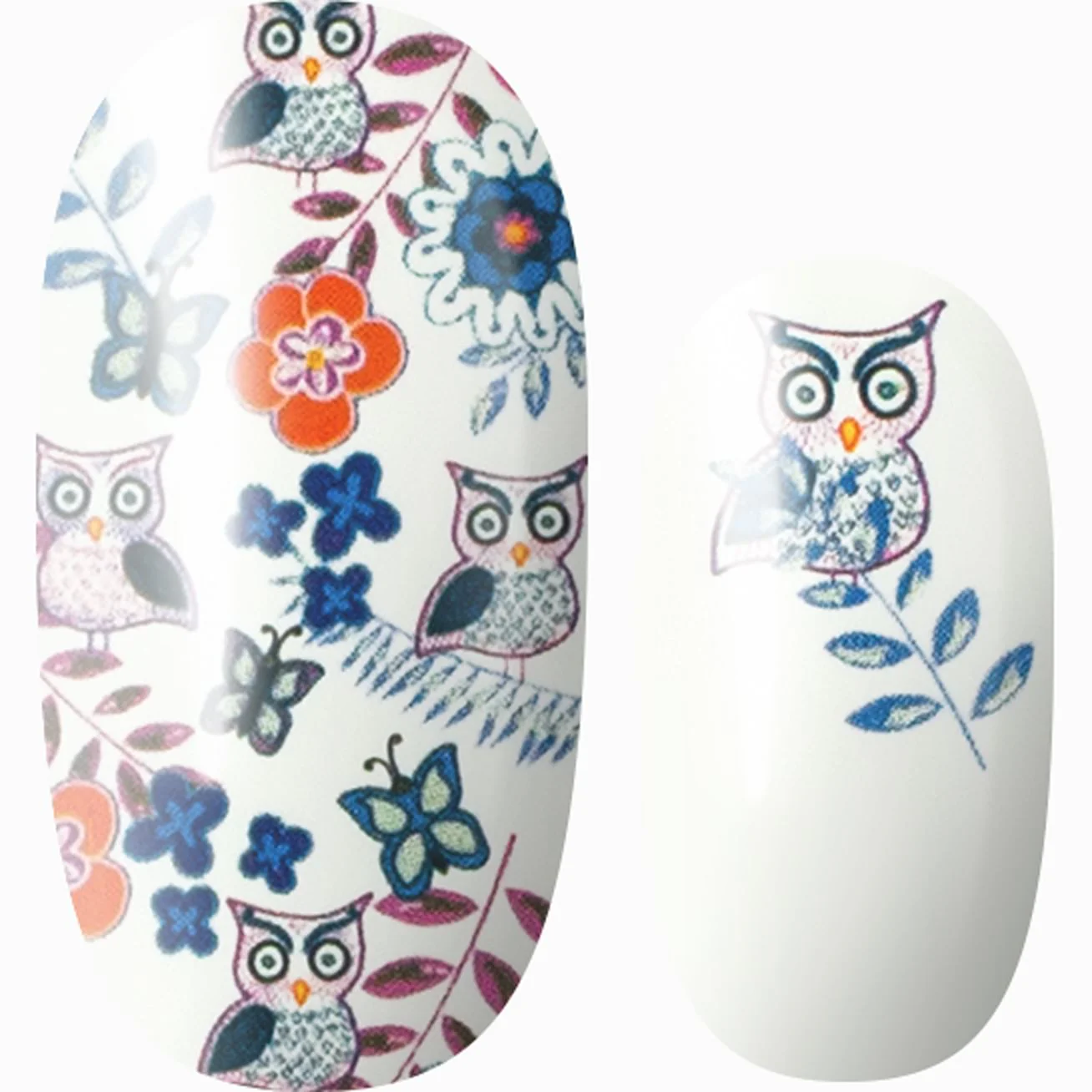 You're a Hoot